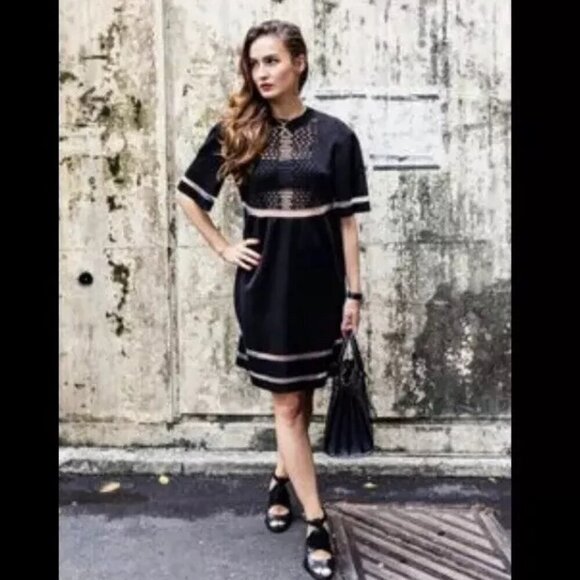 Alexander Wang x H&M Black Mesh Mini Dress Dark Romance Whimsigoth Size Small - Picture 1 of 11